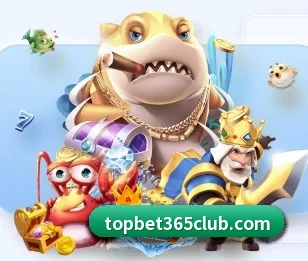 top体育的故事